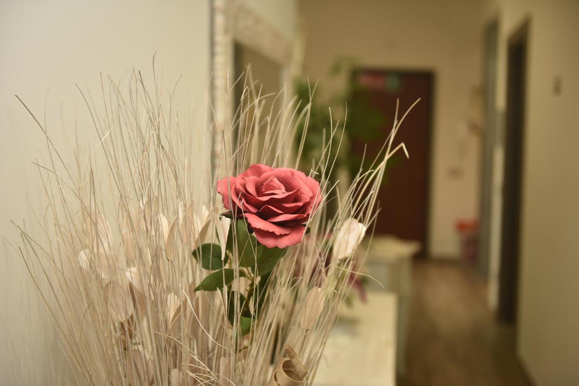 Bed and Breakfast In Terrazza Da Giusy Рим Екстер'єр фото