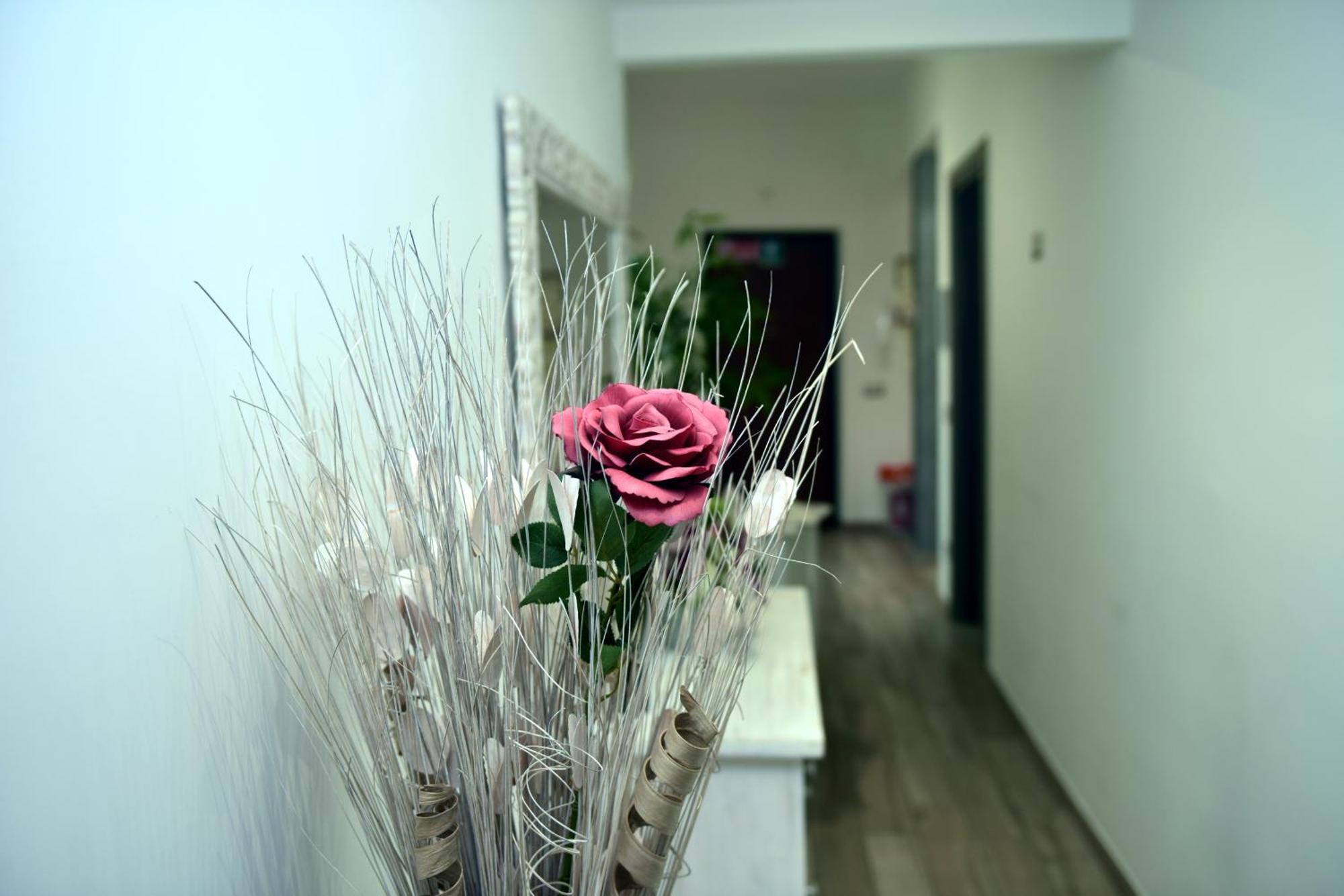 Bed and Breakfast In Terrazza Da Giusy Рим Екстер'єр фото